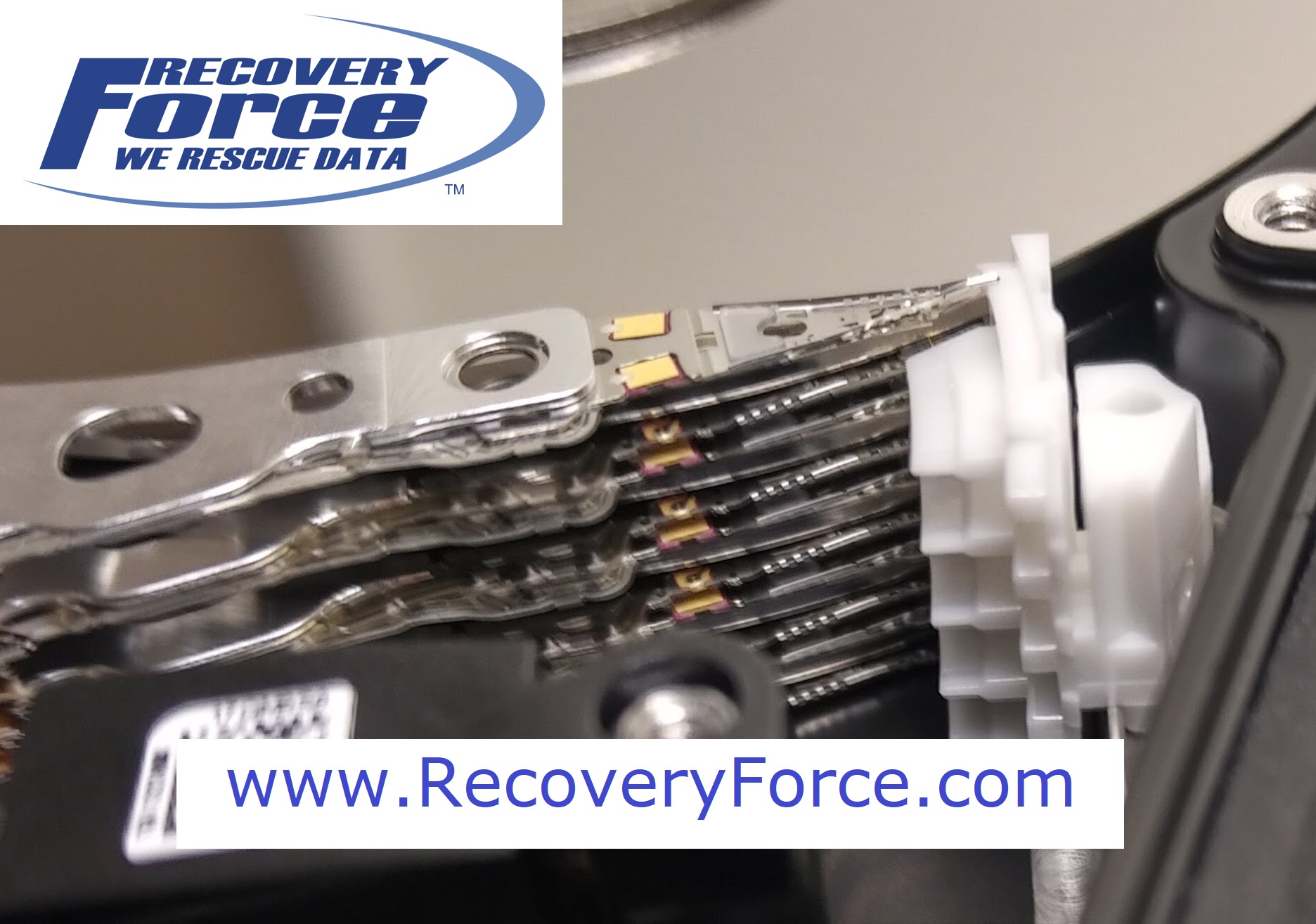 Dropped 3TB Western Digital My Passport Recovery