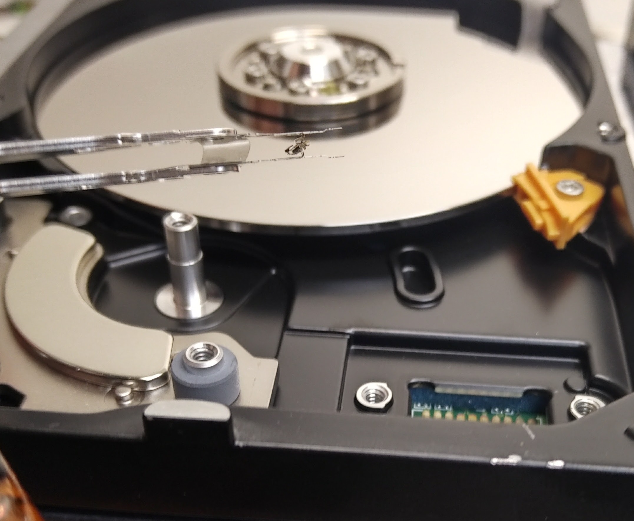 Western Digital Blue – Crushed Head Data Recovery